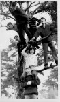 Members on a tree climb at Friton near the Decoy pub, as a part of the annual camping trip.