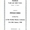 Pinocchio 1980
